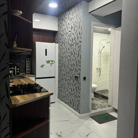 New Apartments In Боржомі Екстер'єр фото