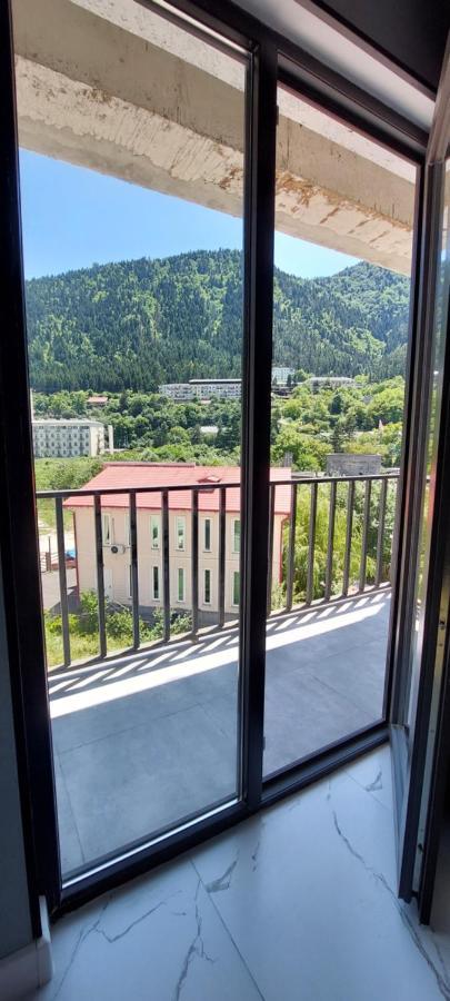 New Apartments In Боржомі Екстер'єр фото